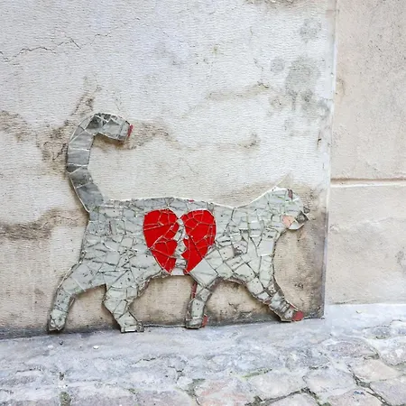 Daire Zambelli Terrace *